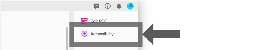 Screen capture illustrating where the Accessibility tool lives on the right-hand side of the screen--once it's been launched.  The purple icon is enclosed in a light grey box,while a darker grey arrow points to it.